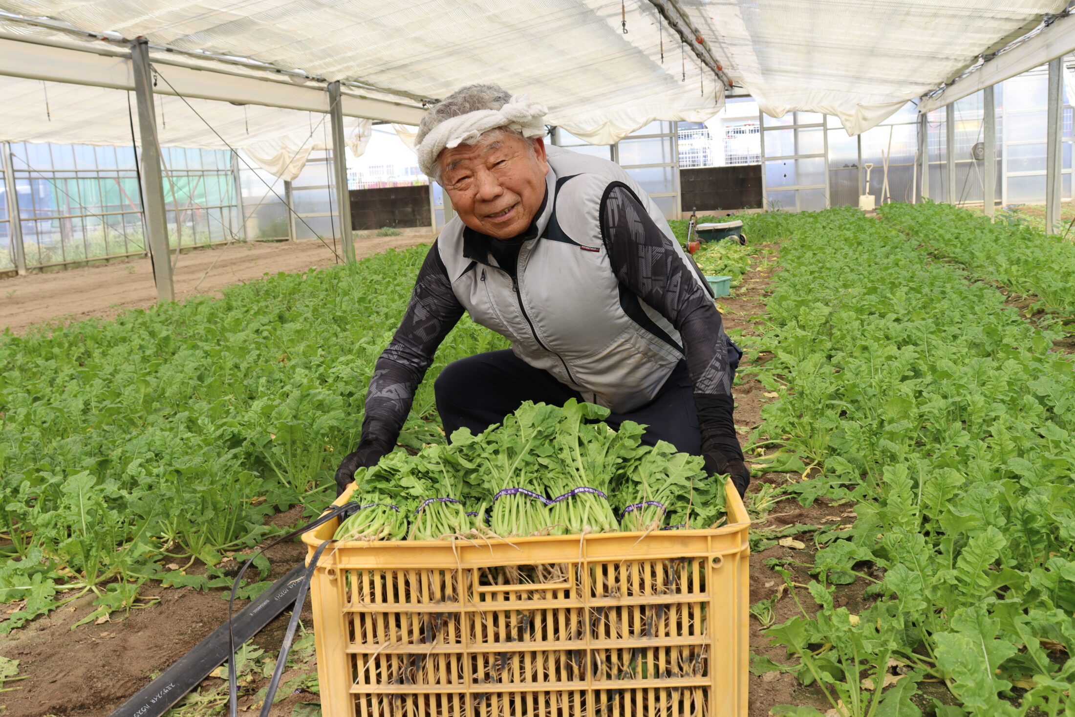 地域とともに歩んだ70年の農業人生 感謝の心で箱崎蔬菜をこれからも